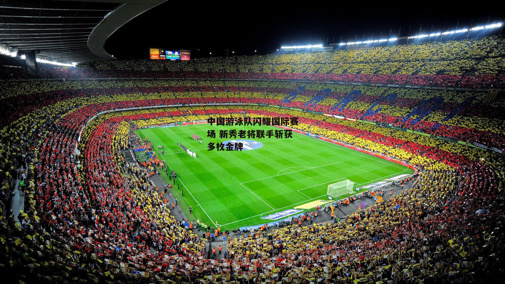 中国游泳队闪耀国际赛场 新秀老将联手斩获多枚金牌