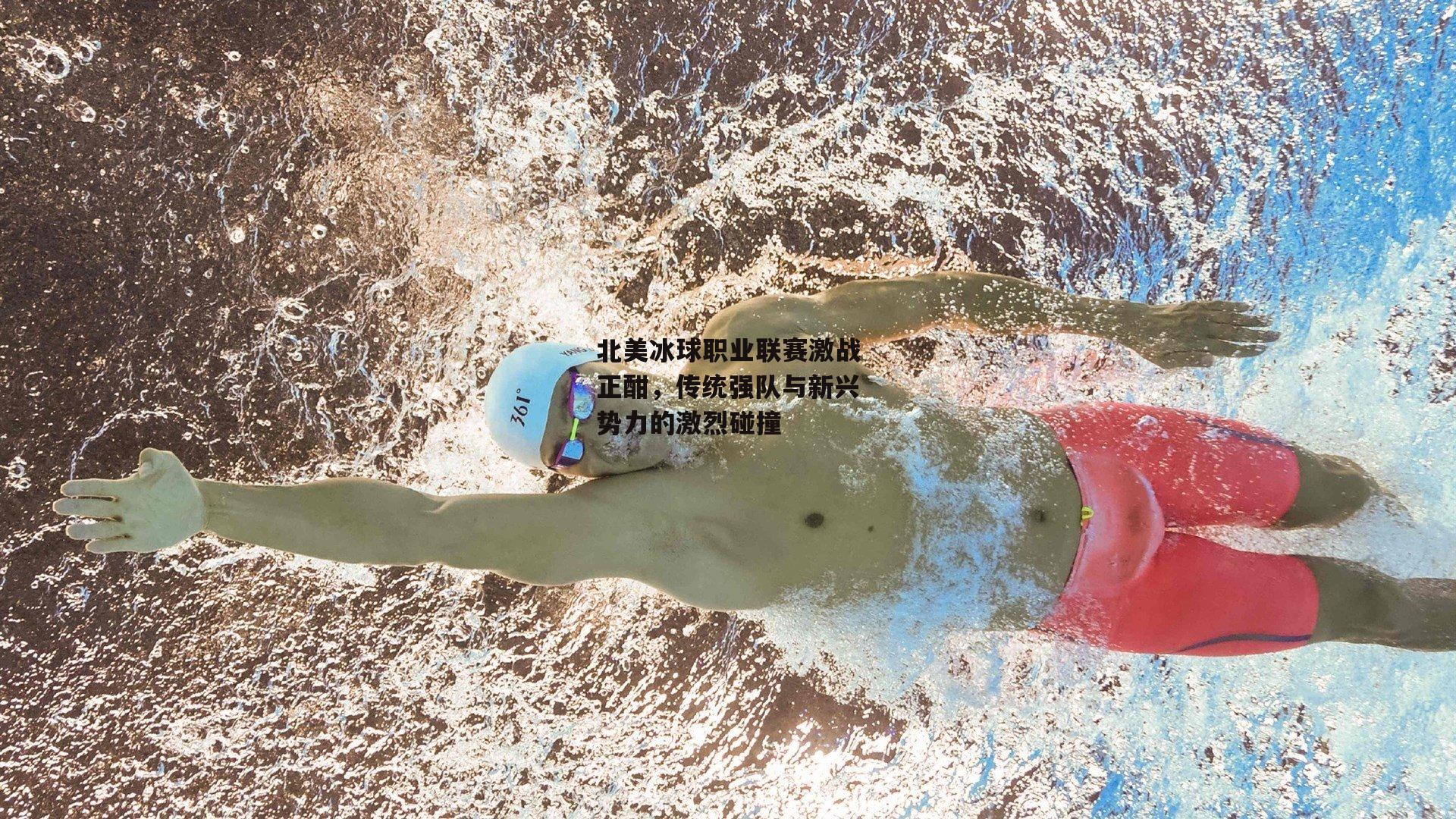 北美冰球职业联赛激战正酣,传统强队与新兴势力的激烈碰撞